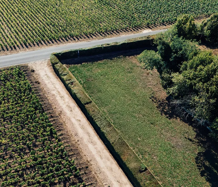 Carrossel Produtores - Tronquoy 09