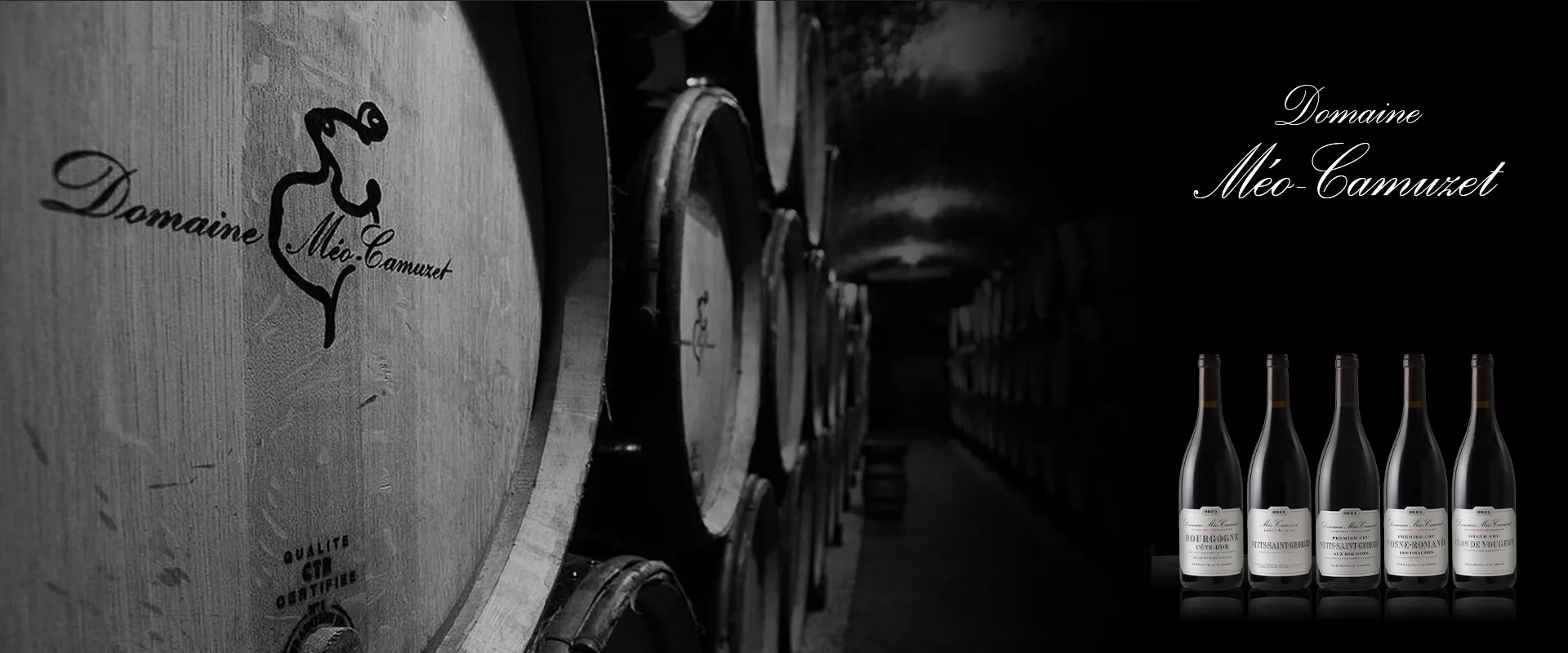 Carrossel_Campanha_-_Mo-Camuzet