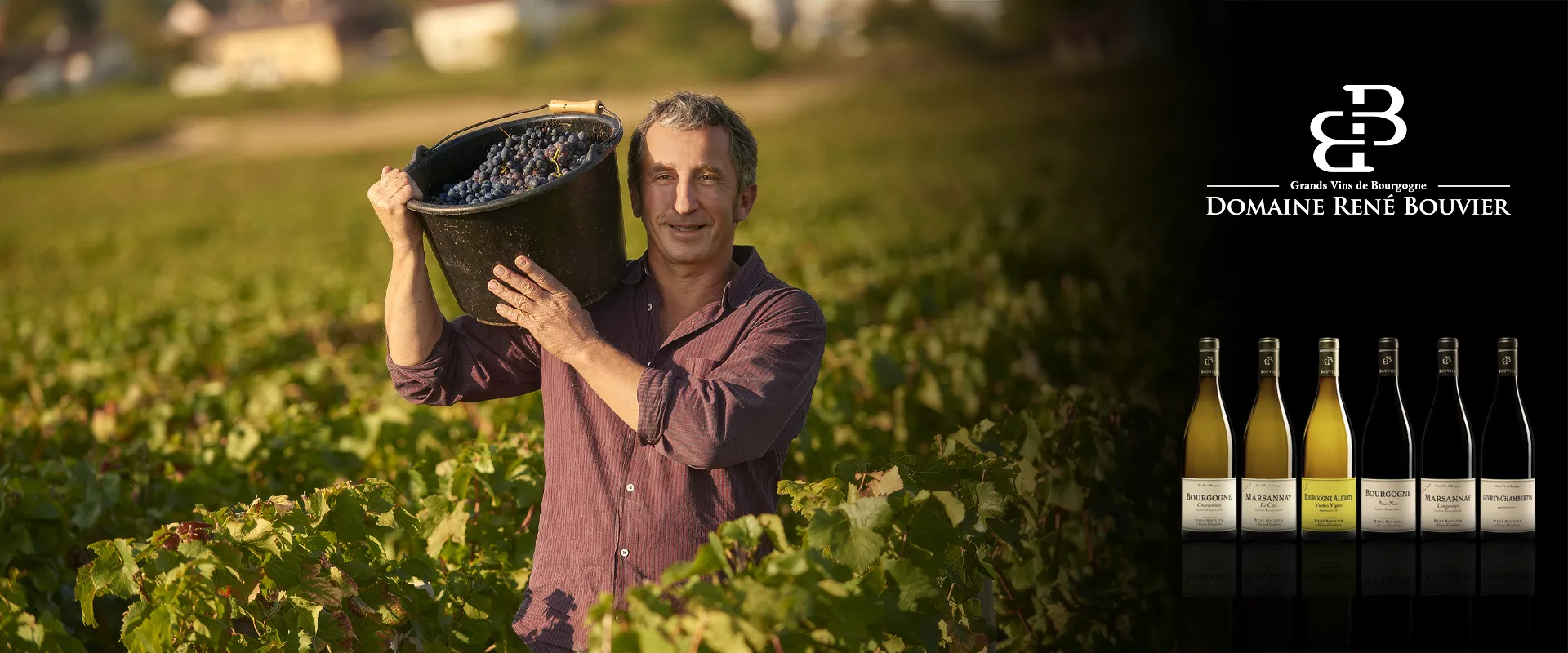Carrossel Campanha - René Bouvier