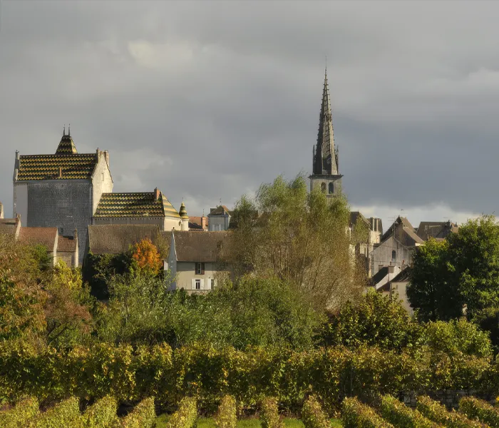 Carrossel Produtores - Antoine Jobard 05