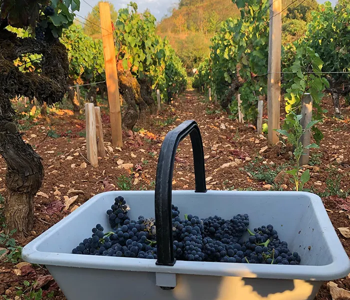 Carrossel Produtores - Fontaine Gagnard 03