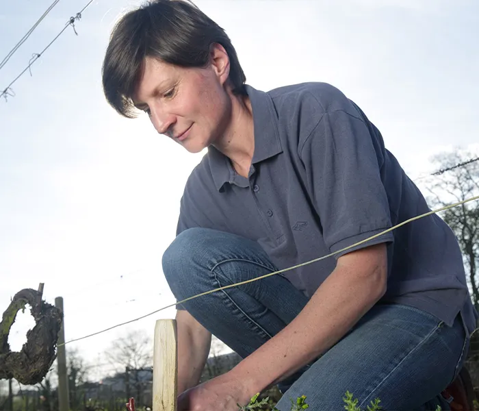 Carrossel Produtores - Fontaine Gagnard 05
