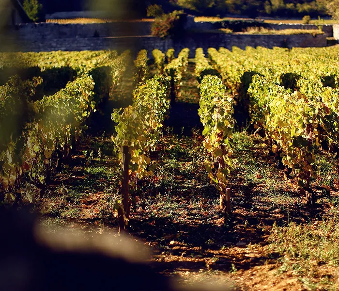 Carrossel Produtores - Fontaine Gagnard 08