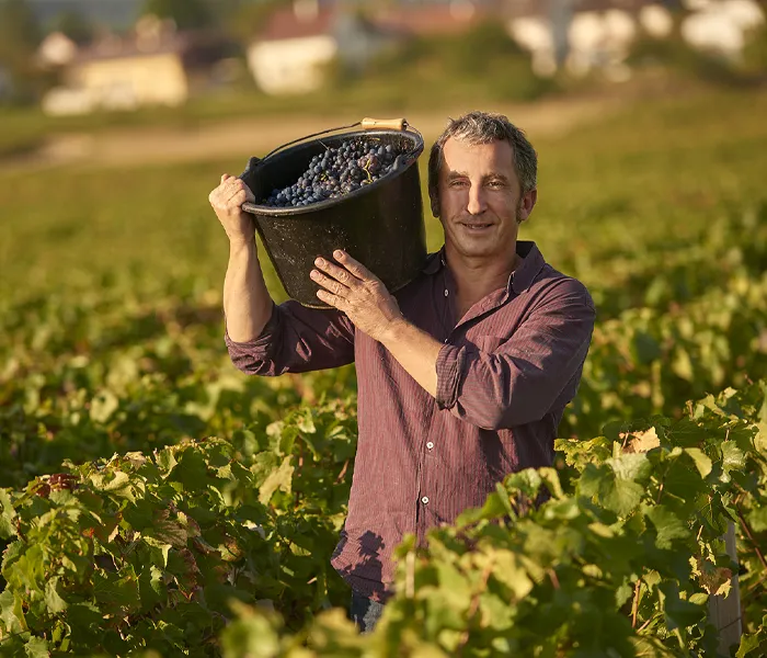 Carrossel Produtores - René Bouvier 02