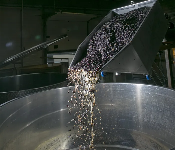 Carrossel Produtores - René Bouvier 06