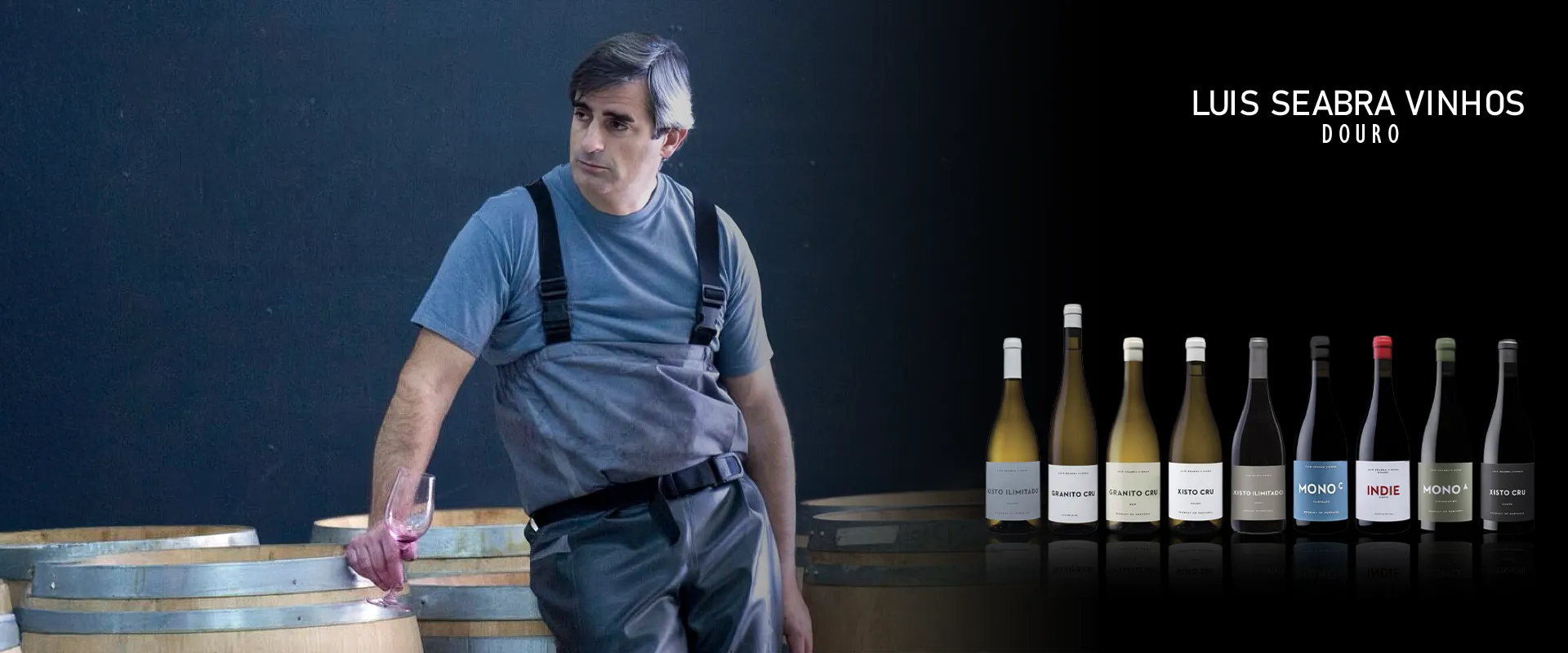 Carrossel Campanha - Luis Seabra