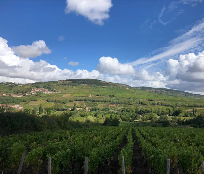 Carrossel Produtores - Bachelet-Monnot 02