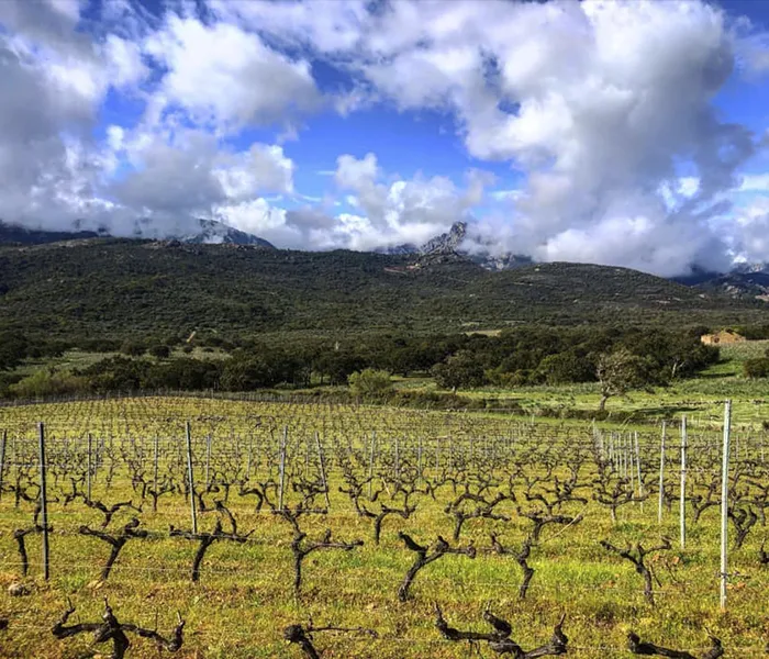 Carrossel Produtores - Bachelet-Monnot 06