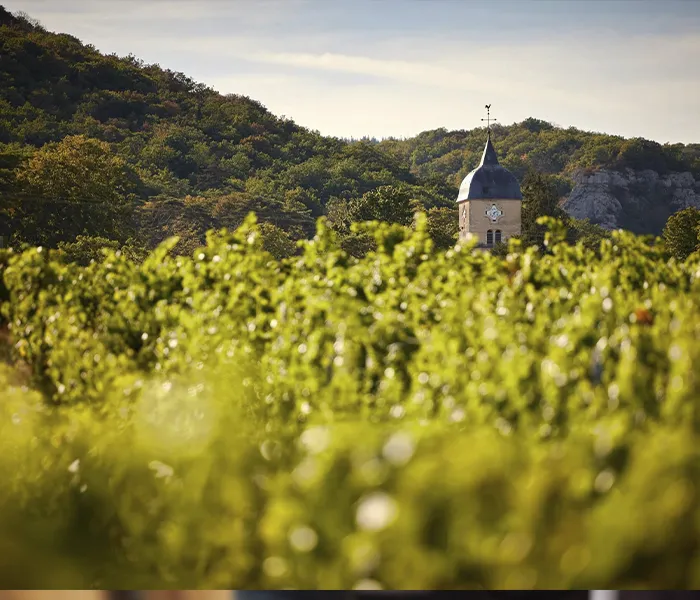 Carrossel Produtores - G. Roumier 07