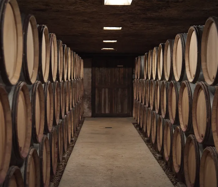 Carrossel Produtores - G. Roumier 08