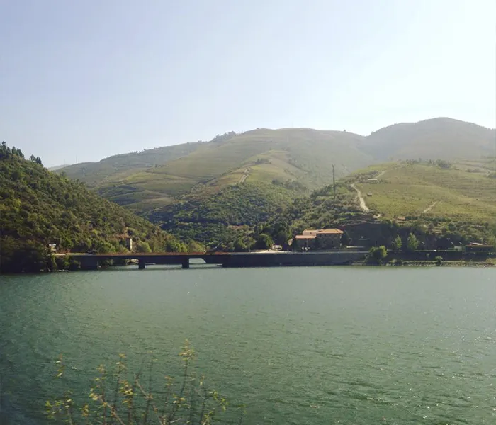 Carrossel Produtores - Luis Seabra 02