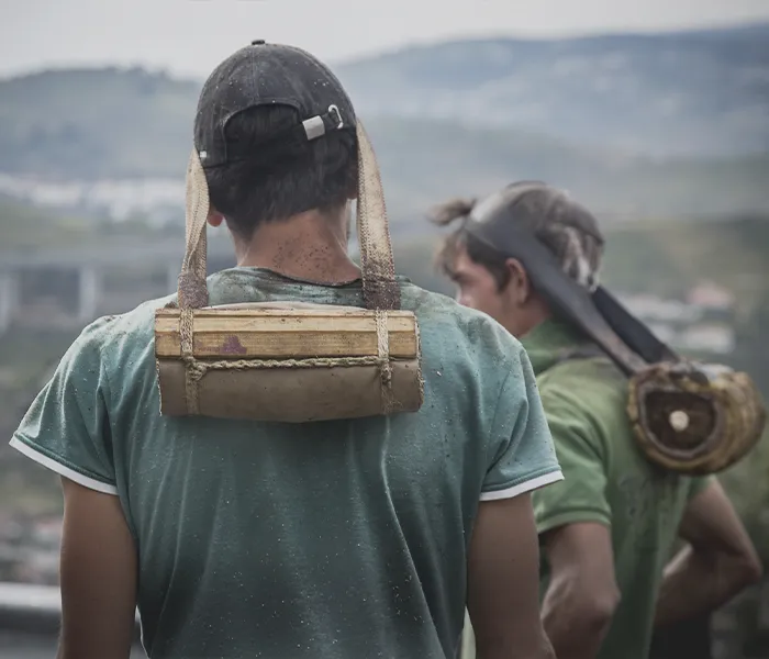 Carrossel Produtores - Luis Seabra 04