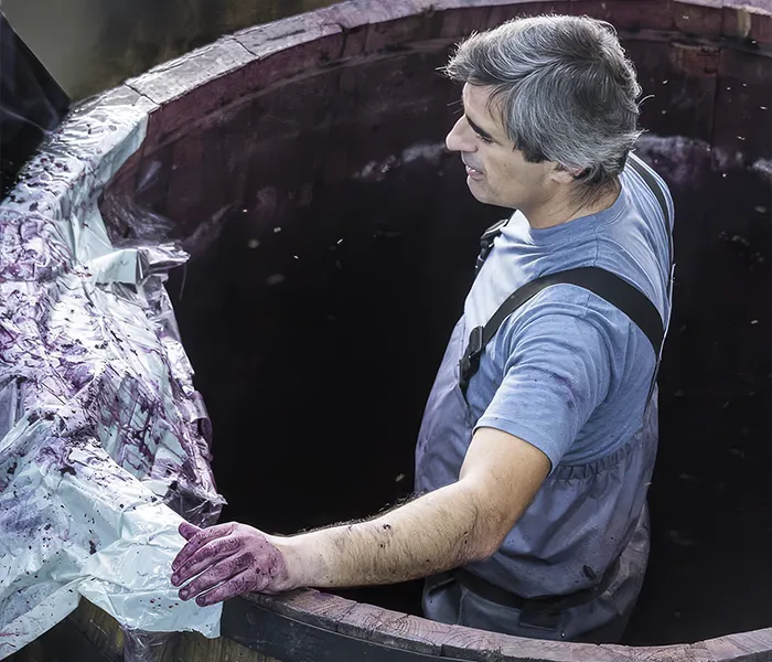 Carrossel Produtores - Luis Seabra 05