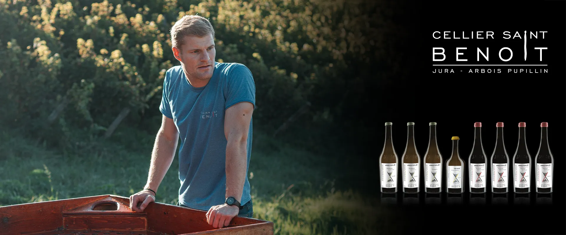 Carrossel Campanha - Cellier Saint Benoit copiar