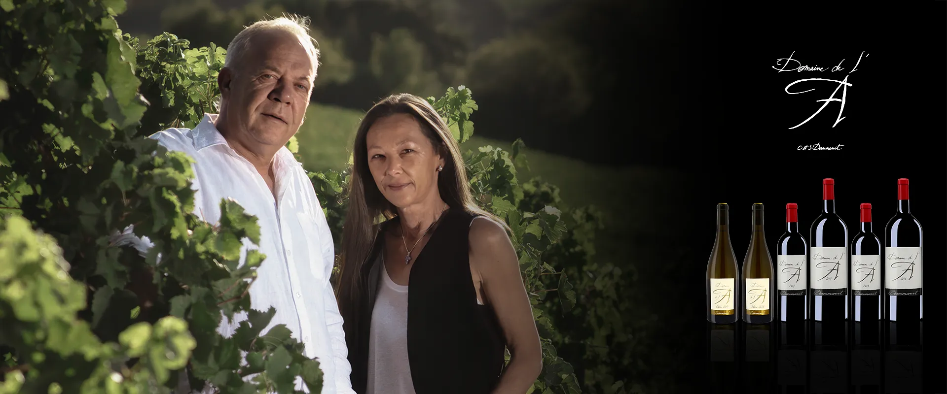 Carrossel Campanha - Domaine de L'A