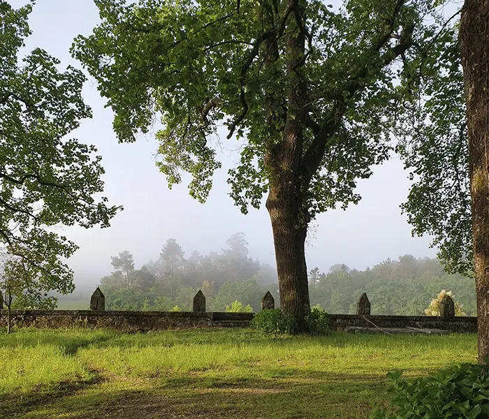 Carrossel Produtores - Casa da Bouça 01