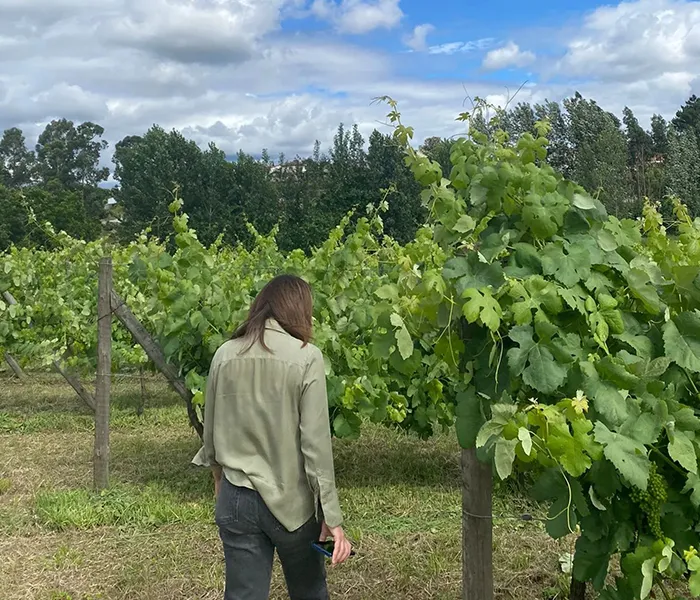 Carrossel Produtores - Casa da Bouça 03