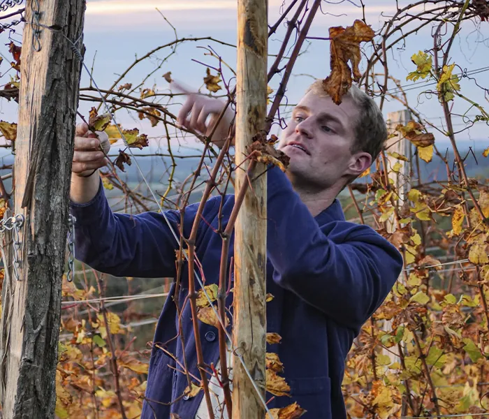Carrossel Produtores - Cellier Saint-Benoit 01