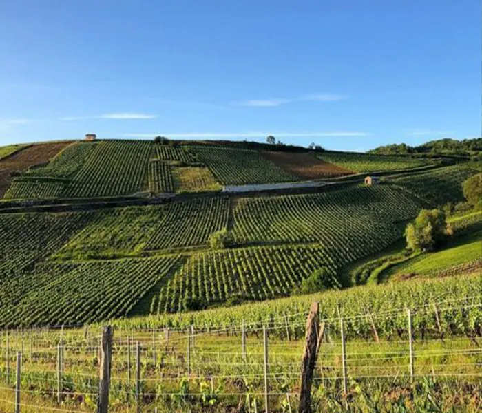 Carrossel Produtores - Cellier Saint-Benoit 07