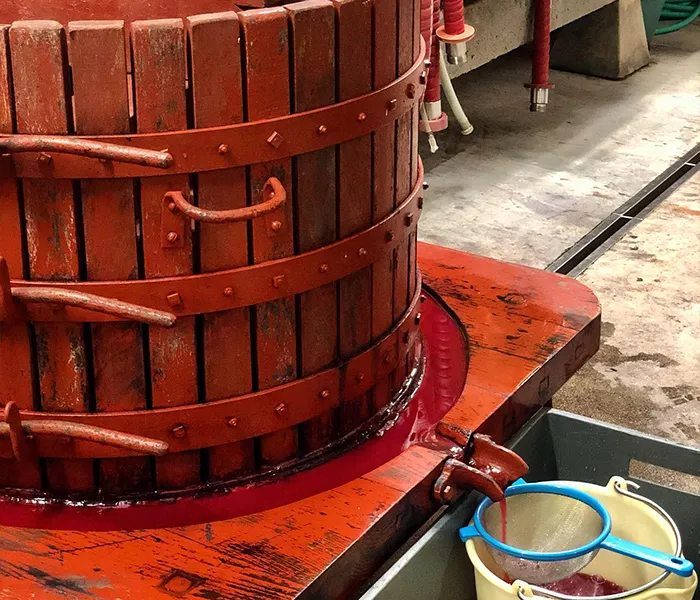 Carrossel Produtores - Cellier Saint-Benoit 09