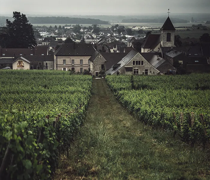 Carrossel Produtores - Clos de Tart 03