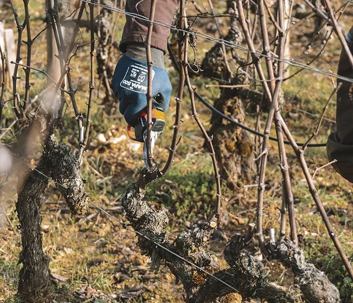 Carrossel Produtores - Clos de Tart 07