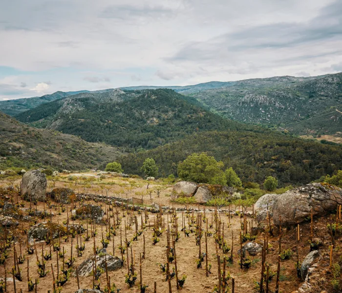 Carrossel Produtores - Comando G 02