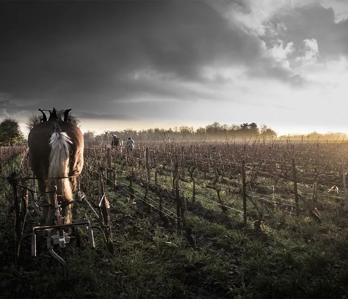 Carrossel Produtores - Comando G 03