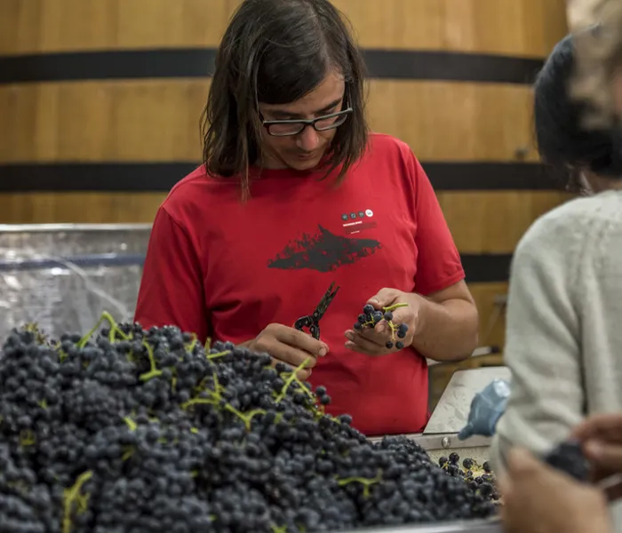 Carrossel Produtores - Comando G 04