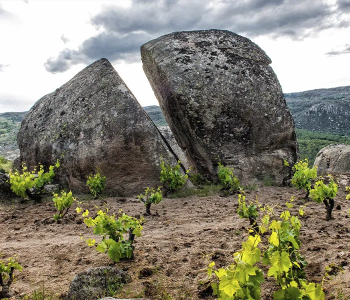 Carrossel Produtores - Comando G 05