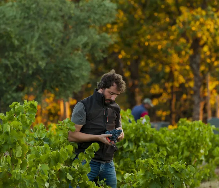 Carrossel Produtores - Comando G 07