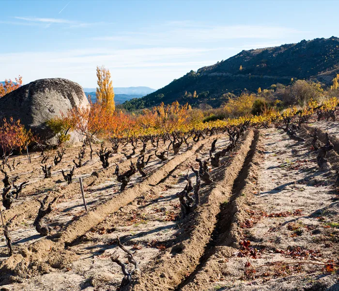 Carrossel Produtores - Comando G 08