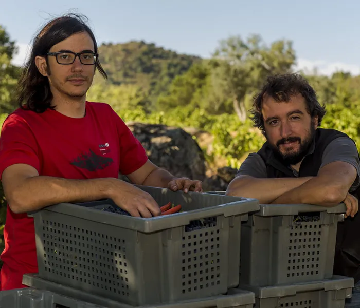 Carrossel Produtores - Comando G 09