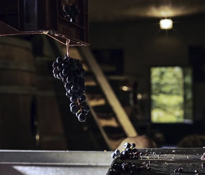 Carrossel Produtores - Domaine de l'A 06