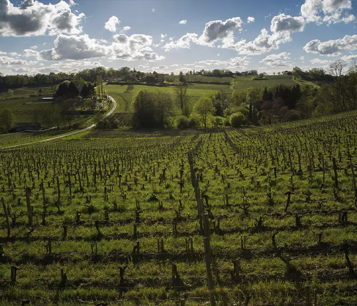Carrossel Produtores - Domaine de l'A 09