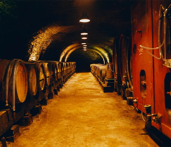 Carrossel Produtores - Eric Texier 01