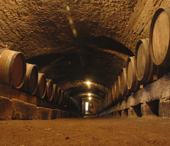 Carrossel Produtores - Eric Texier 04