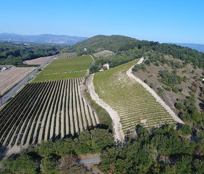 Carrossel Produtores - Eric Texier 08