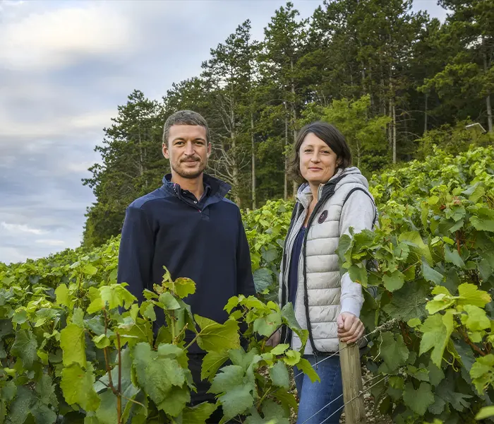 Carrossel Produtores - François Raveneau 04