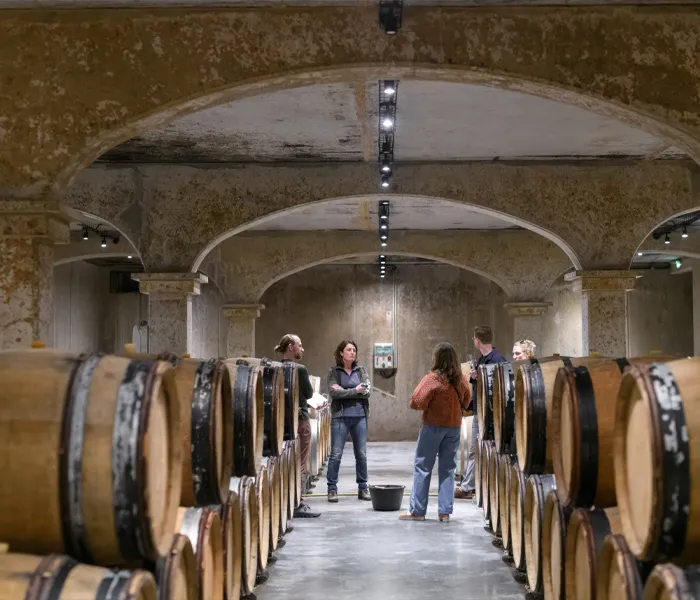 Carrossel Produtores - François Raveneau 05