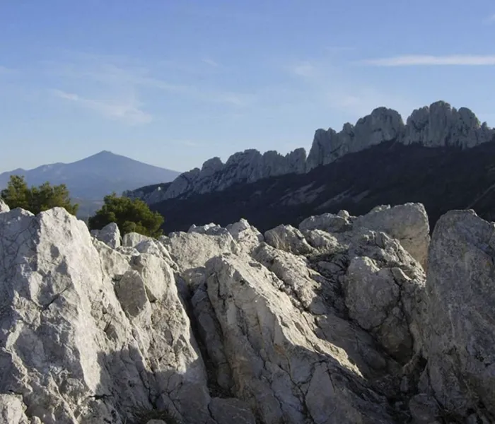 Carrossel Produtores - Gour de Chaulé 03