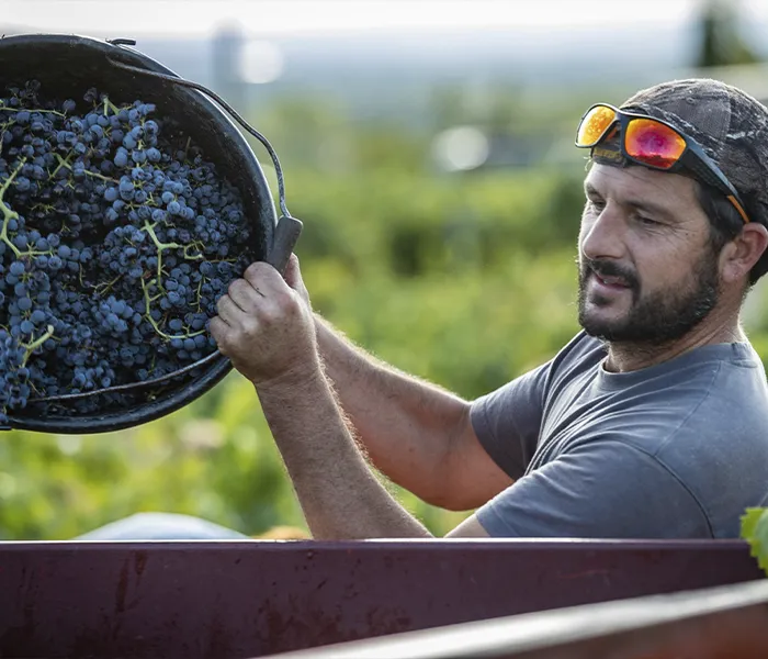 Carrossel Produtores - Gour de Chaulé 04