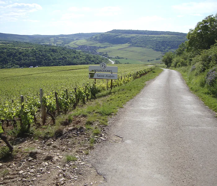 Carrossel Produtores - Jean-Claude Bachelet 01