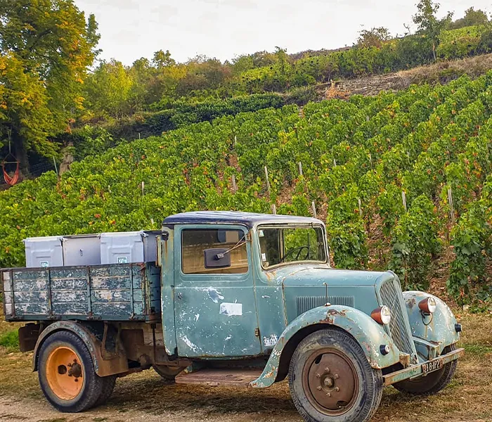 Carrossel Produtores - Jean-Claude Bachelet 02
