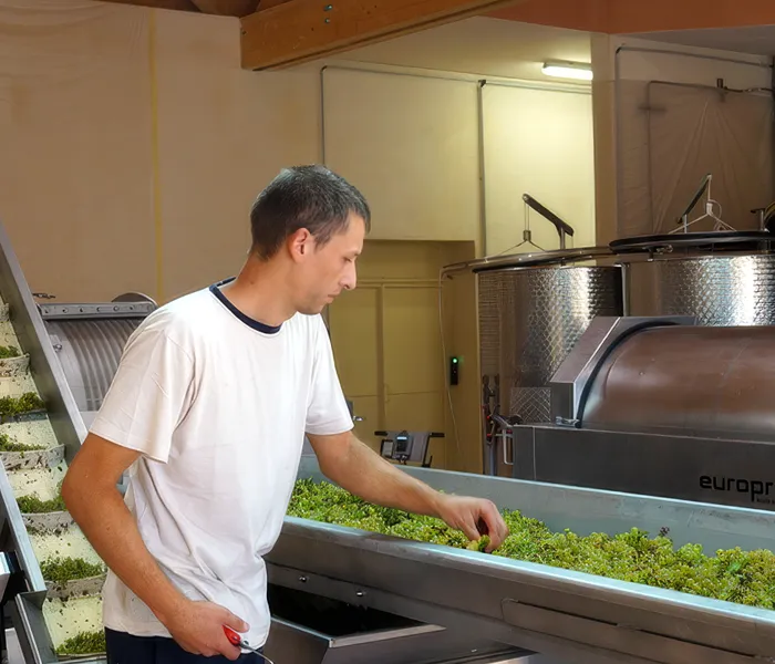 Carrossel Produtores - Jean-Claude Bachelet 03