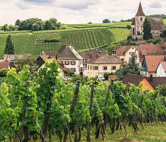 Carrossel Produtores - Jean-Claude Bachelet 04