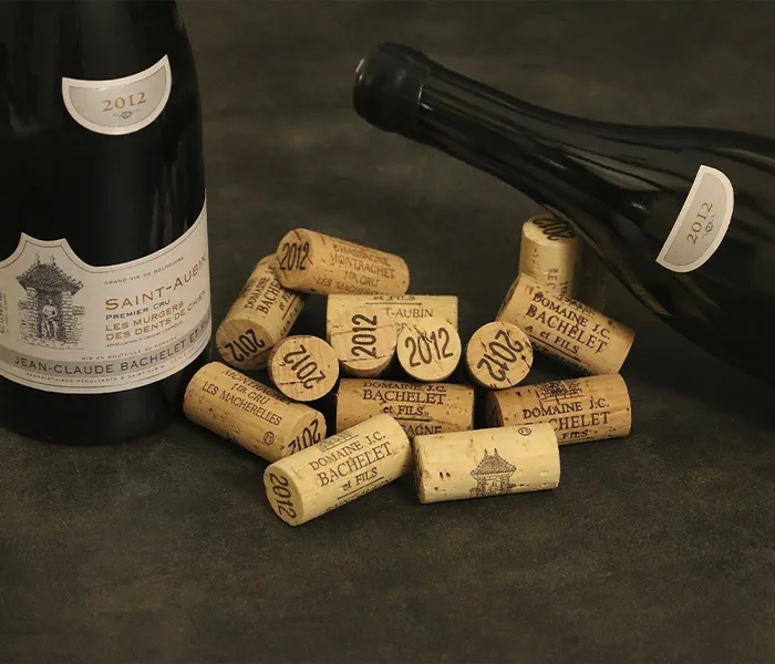 Carrossel Produtores - Jean-Claude Bachelet 06