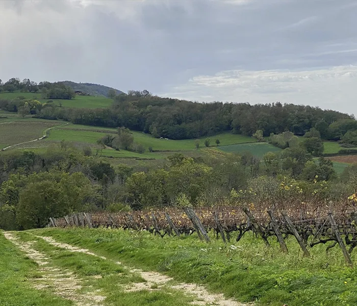 Carrossel Produtores - Labet 03