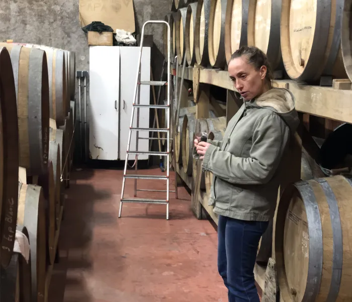 Carrossel Produtores - Labet 06