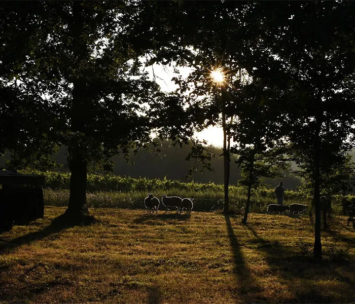 Carrossel Produtores - Les Poete 01